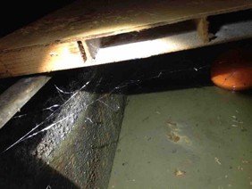 Bathroom Cold Taps water came from this tank!