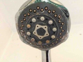 Shower Heads should always be kept clean!