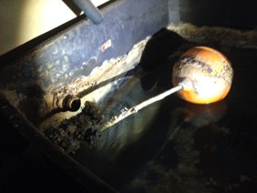 Is your tank like this one!